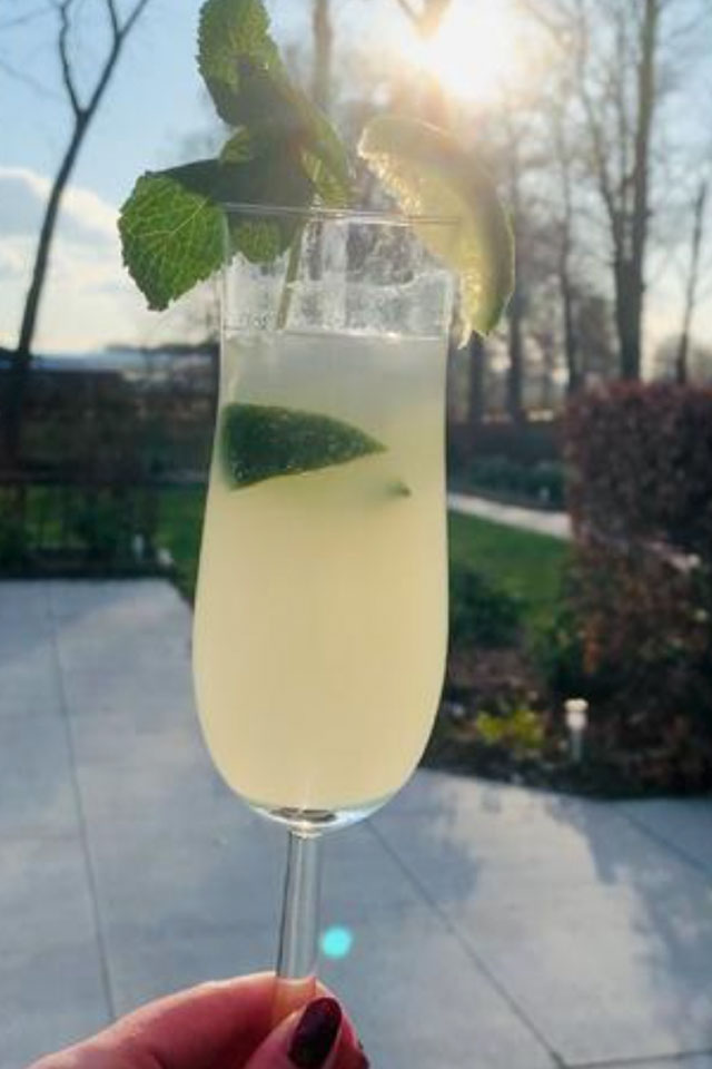 Gin aperitief: de Limonginlo